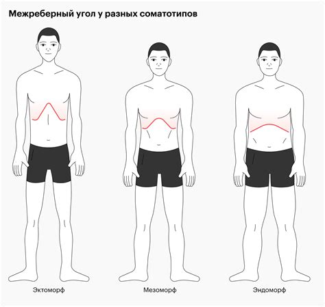 Процесс определения соматотипа для женского телосложения