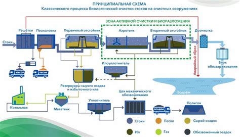 Процесс очистки: последовательность действий и рекомендации