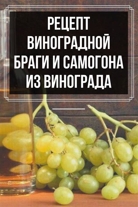 Процесс приготовления уксуса из виноградной браги