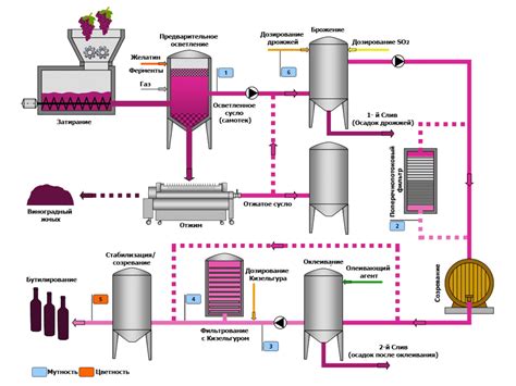 Процесс производства вина