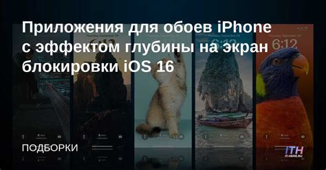 Процесс установки обоев на iOS 16