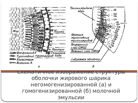 Прочность оболочки шарика