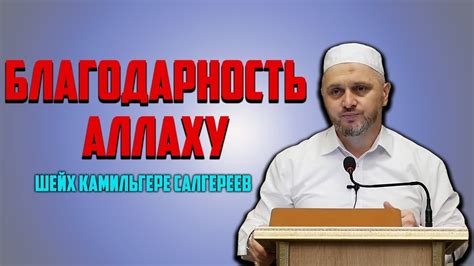 Проявление покорности