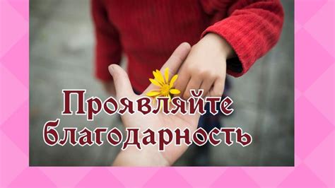 Проявляйте благодарность и сострадание