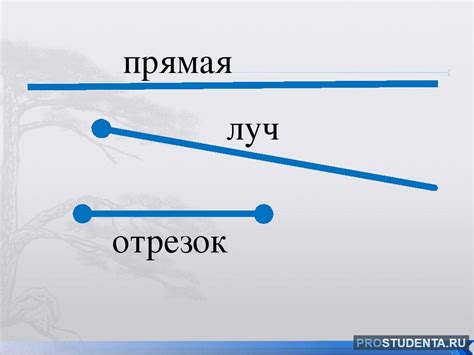 Прямая линия: определение, свойства, примеры