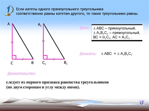 Прямоугольный треугольник: определение и свойства