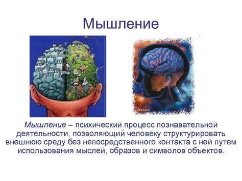 Психический процесс идентичен психологической деятельности