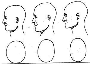 Психологические аспекты формы черепа у мужчин