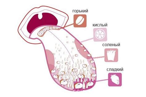 Психологический эффект на восприятие вкуса