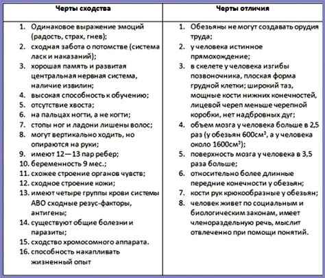 Пульсары 92 и 92: различия и сравнение