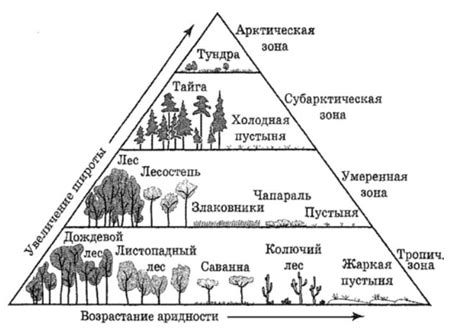 Пустынные биомы