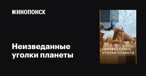 Путешествие в неизведанные уголки планеты