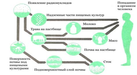 Пути воздействия на организм