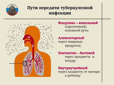 Пути заражения