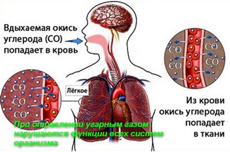 Пути попадания оксида углерода в организм