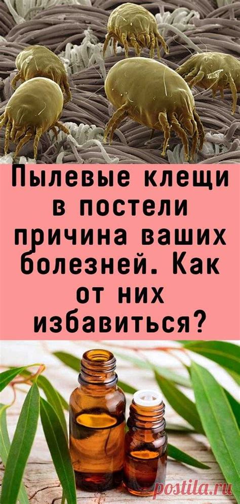 Пылевые вещества как причина заболеваний