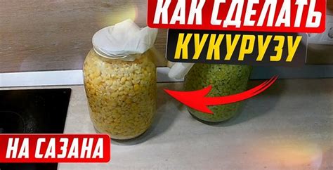 Пьяная кукуруза на сазана