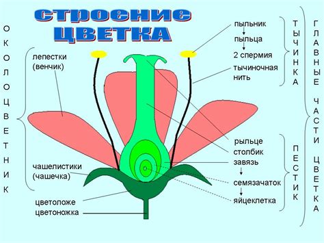 Пятый шаг: сборка цветка