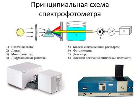 РДБК: принцип работы и методика исследования