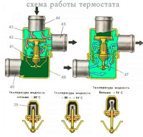 Работа и принцип работы термостата Газель 405 и УАЗ: полезные советы и информация