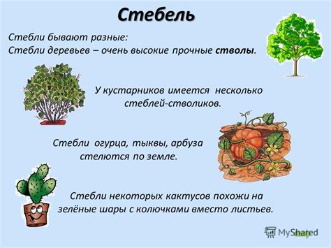 Работа с деталями: листья и стебли