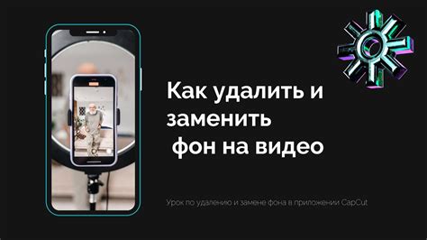 Работа с инструментами по удалению котов в CapCut