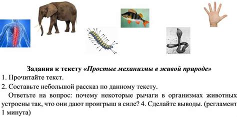 Работа с пневматической системой