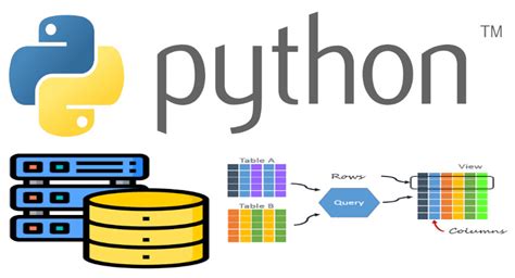 Работа с различными типами данных в Python API