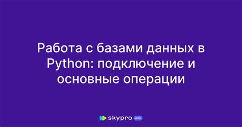 Работа с файлами и базами данных в Python