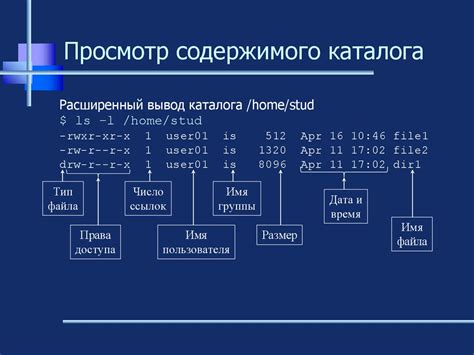 Работа с файлами и командами в PuTTY