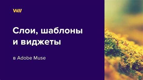 Работа с шаблонами и слоями в графическом редакторе