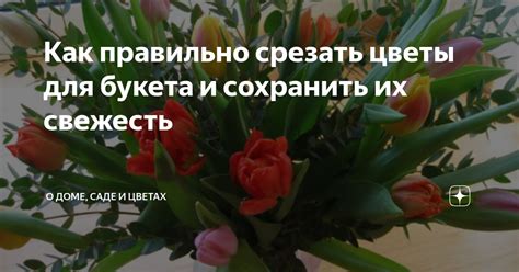 Разберитесь с водой и усилите свежесть букета