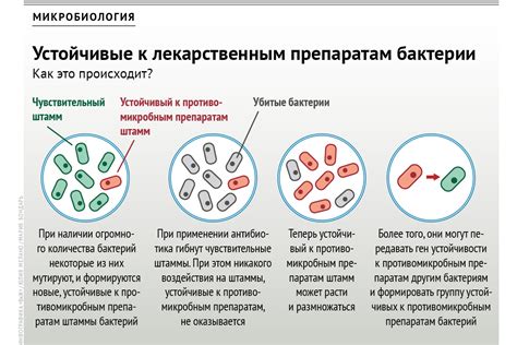 Развитие антибиотикорезистентности