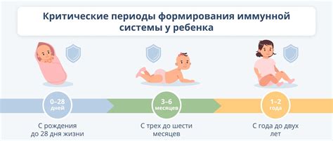 Развитие иммунной системы у ребенка 2 лет