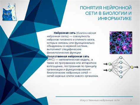 Развитие нейронной системы в биологии 9 класса