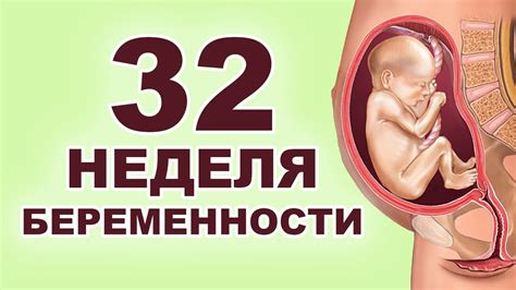 Развитие ребенка на 32 неделе беременности: