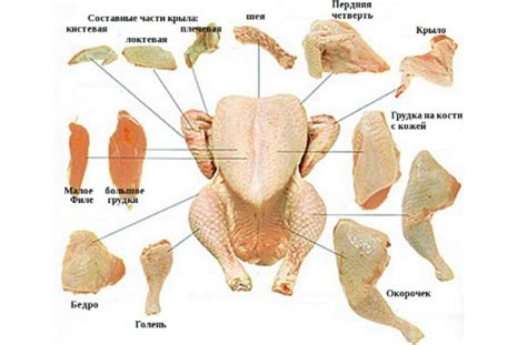 Разделение курицы на порции для удобства при транспортировке