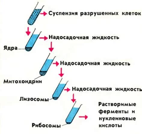 Разделение раствора и осадка: основные методы