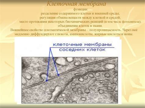 Разделение содержимого между несколькими листами