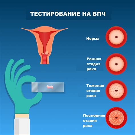 Раздел 1: Значение длинной шейки на 40 неделе