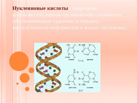 Раздел 1: Определение нуклеиновых кислот