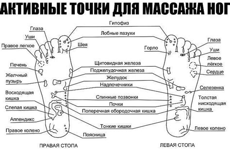 Раздел 1: Определение частоты массажа ног на массажере