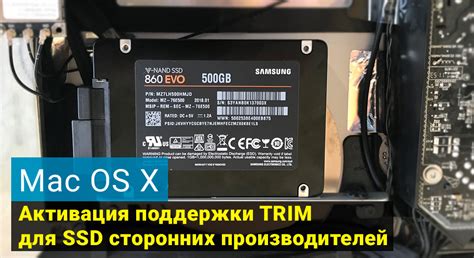 Раздел 1: Основные принципы работы trim для ssd mac os