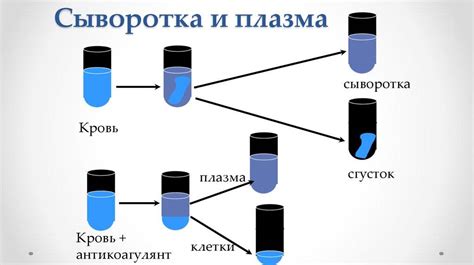 Раздел 1: Химическая реакция между сывороткой и молоком