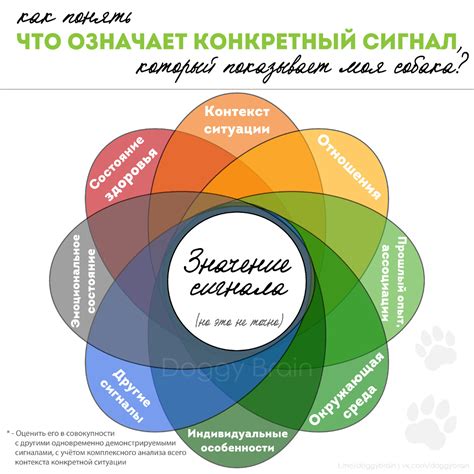 Раздел 2: Кусание собакой за голову: полные толкования