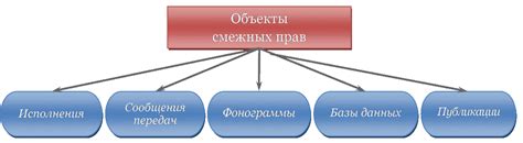 Раздел 2: Права смежных объектов