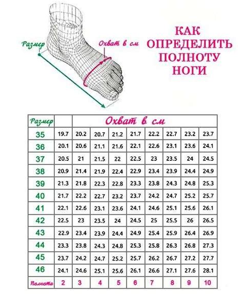 Раздел 2: Признаки полноты ноги юничел