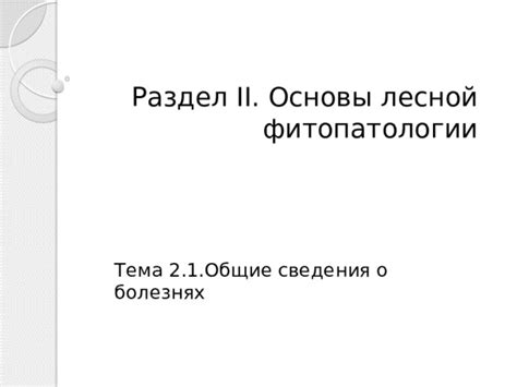 Раздел 2: Создание основы головы