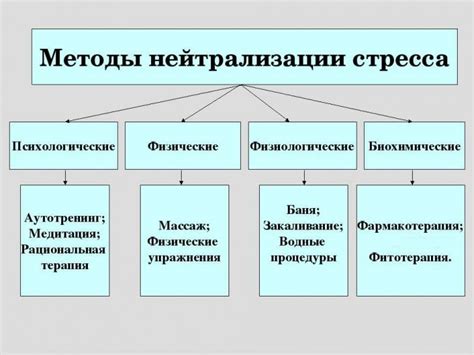 Раздел 3: Последствия стресса