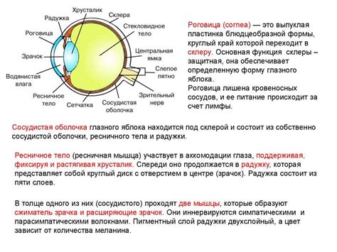 Раздел 3. Оптические функции роговицы глаза